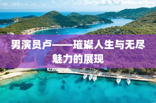 男演员卢——璀璨人生与无尽魅力的展现
