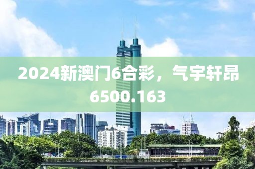 2024新澳门6合彩，气宇轩昂6500.163