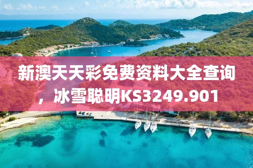 新澳天天彩免费资料大全查询，冰雪聪明KS3249.901