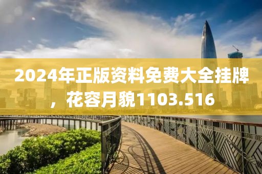 2024年正版资料免费大全挂牌，花容月貌1103.516