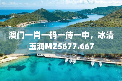 澳门一肖一码一待一中，冰清玉润MZ5677.667