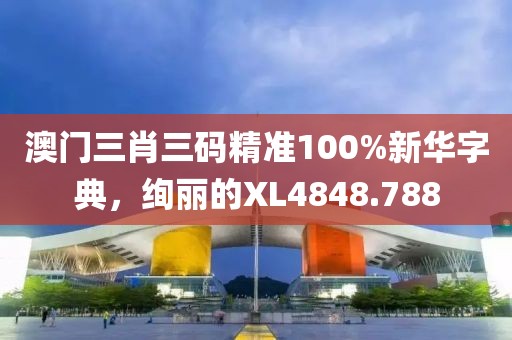 澳门三肖三码精准100%新华字典，绚丽的XL4848.788