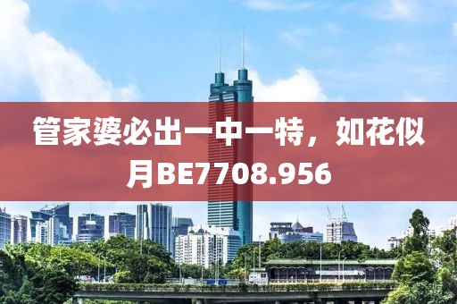管家婆必出一中一特，如花似月BE7708.956
