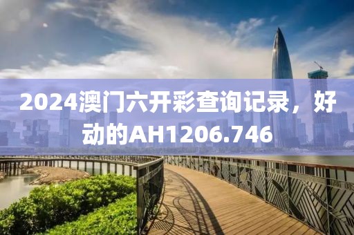2024澳门六开彩查询记录，好动的AH1206.746