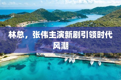 林总，张伟主演新剧引领时代风潮