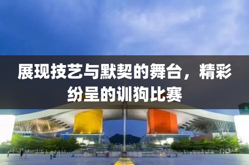 展现技艺与默契的舞台，精彩纷呈的训狗比赛