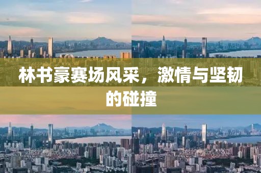 林书豪赛场风采，激情与坚韧的碰撞