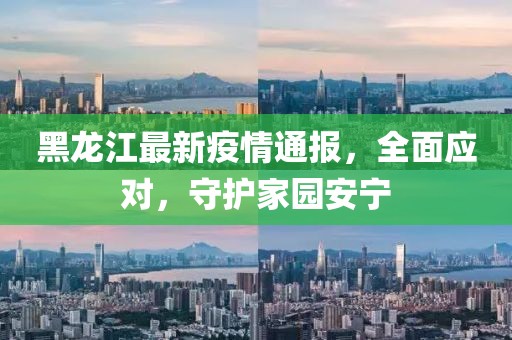 黑龙江最新疫情通报，全面应对，守护家园安宁