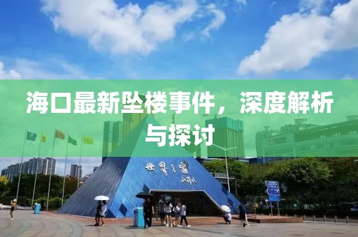 海口最新坠楼事件，深度解析与探讨