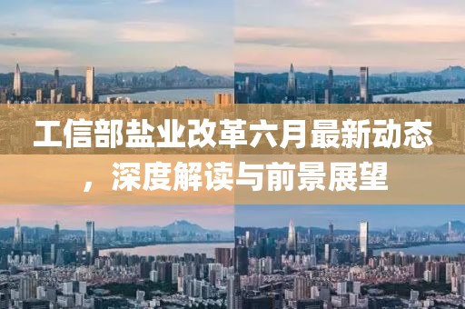 工信部盐业改革六月最新动态，深度解读与前景展望