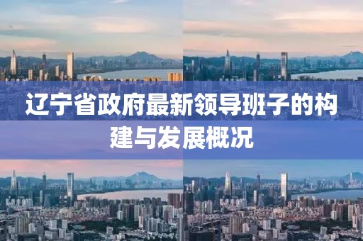 辽宁省政府最新领导班子的构建与发展概况