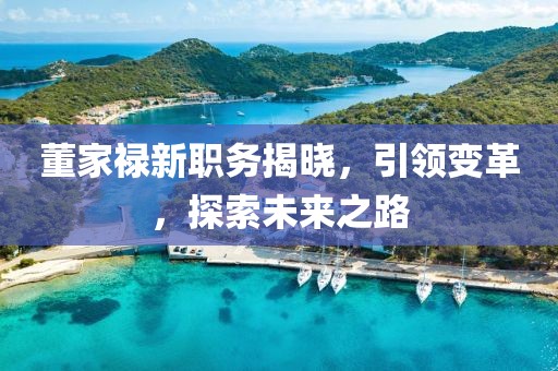 董家禄新职务揭晓，引领变革，探索未来之路