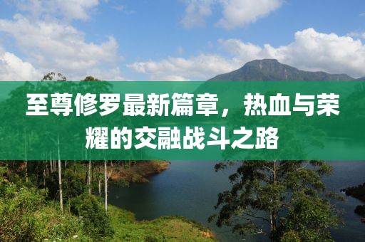 至尊修罗最新篇章，热血与荣耀的交融战斗之路