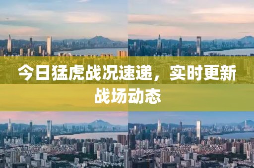 今日猛虎战况速递，实时更新战场动态