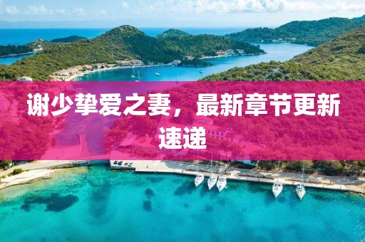 谢少挚爱之妻，最新章节更新速递