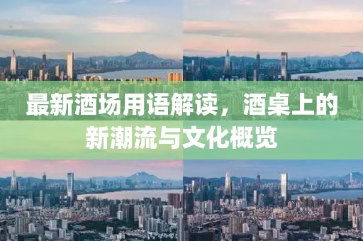 最新酒场用语解读，酒桌上的新潮流与文化概览