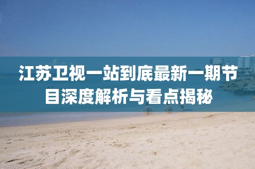 江苏卫视一站到底最新一期节目深度解析与看点揭秘