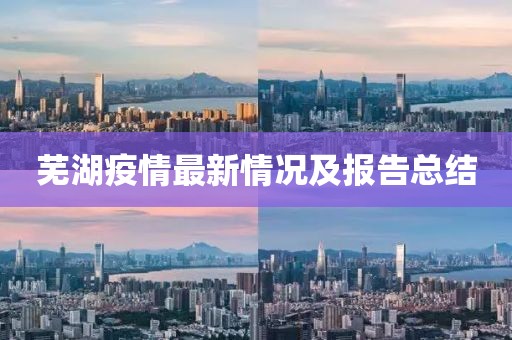 芜湖疫情最新情况及报告总结