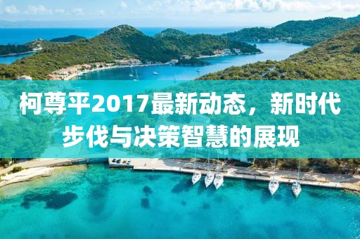 柯尊平2017最新动态，新时代步伐与决策智慧的展现