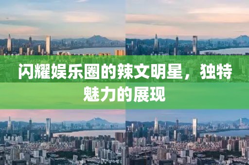 闪耀娱乐圈的辣文明星，独特魅力的展现