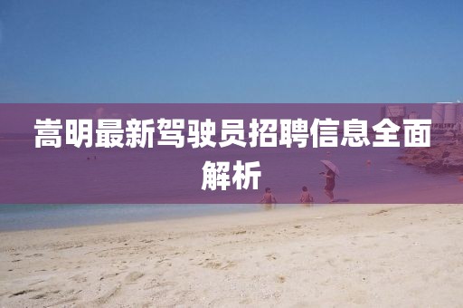 嵩明最新驾驶员招聘信息全面解析