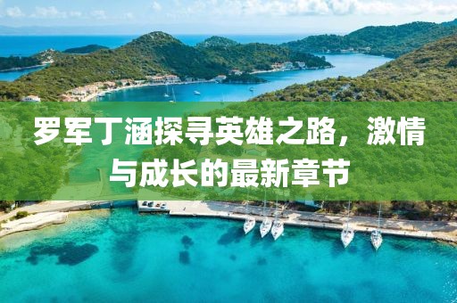 罗军丁涵探寻英雄之路，激情与成长的最新章节