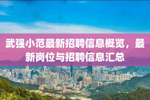 武强小范最新招聘信息概览，最新岗位与招聘信息汇总