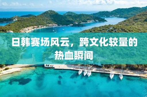 日韩赛场风云，跨文化较量的热血瞬间