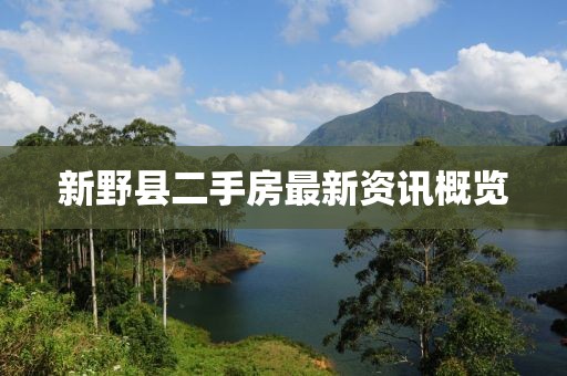 新野县二手房最新资讯概览
