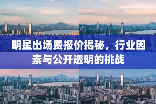 明星出场费报价揭秘，行业因素与公开透明的挑战