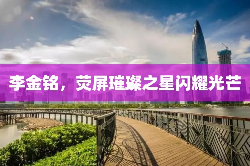 李金铭，荧屏璀璨之星闪耀光芒