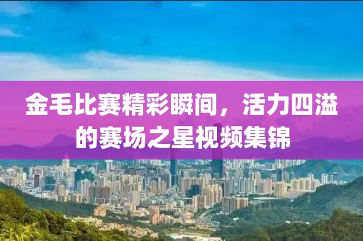 金毛比赛精彩瞬间，活力四溢的赛场之星视频集锦