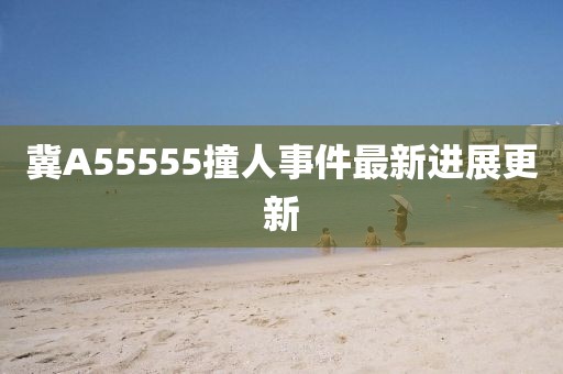 冀A55555撞人事件最新进展更新