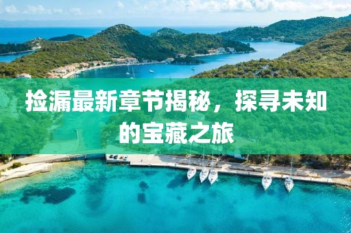 捡漏最新章节揭秘，探寻未知的宝藏之旅