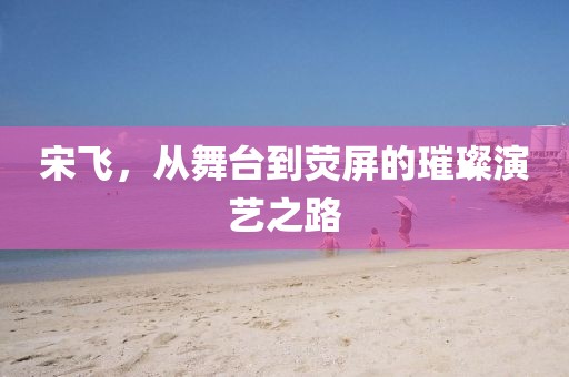宋飞，从舞台到荧屏的璀璨演艺之路