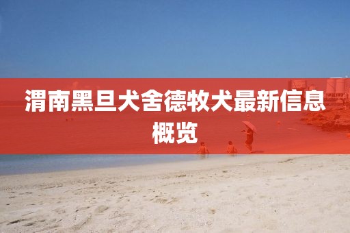 渭南黑旦犬舍德牧犬最新信息概览