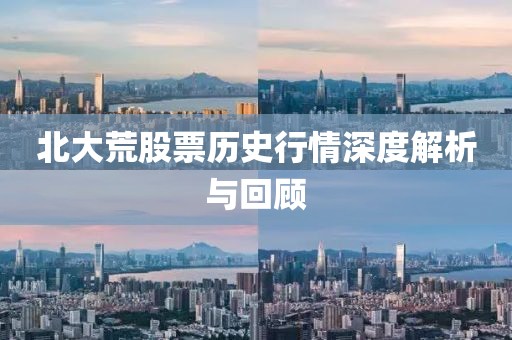 北大荒股票历史行情深度解析与回顾