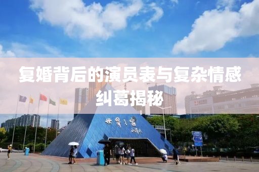 复婚背后的演员表与复杂情感纠葛揭秘