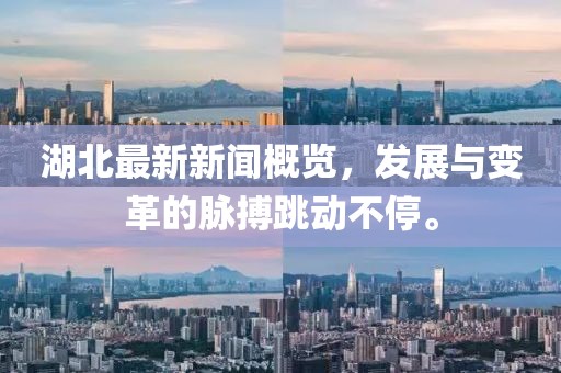 湖北最新新闻概览，发展与变革的脉搏跳动不停。