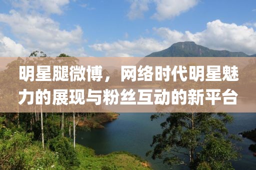 明星腿微博，网络时代明星魅力的展现与粉丝互动的新平台