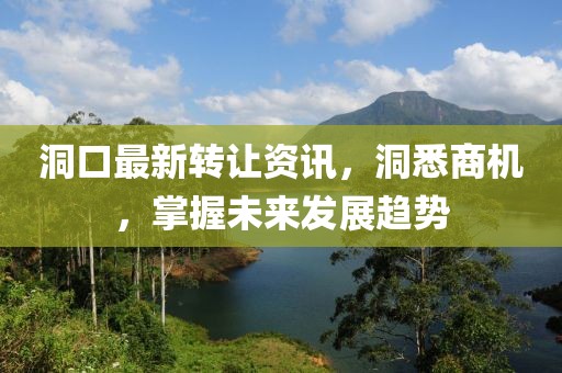 洞口最新转让资讯，洞悉商机，掌握未来发展趋势