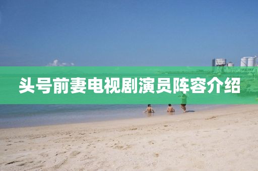 头号前妻电视剧演员阵容介绍