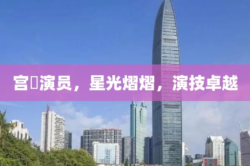 宫洺演员，星光熠熠，演技卓越