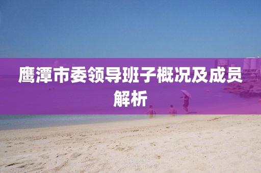 鹰潭市委领导班子概况及成员解析