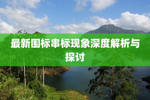 最新围标串标现象深度解析与探讨