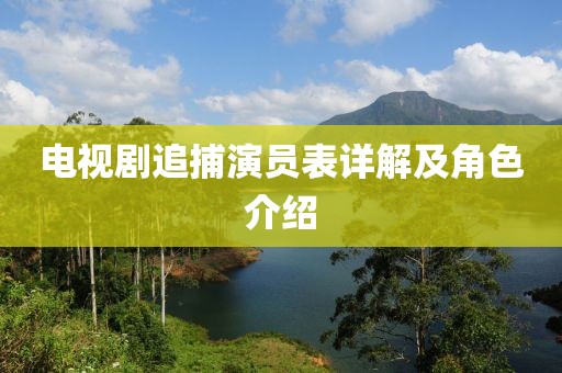电视剧追捕演员表详解及角色介绍