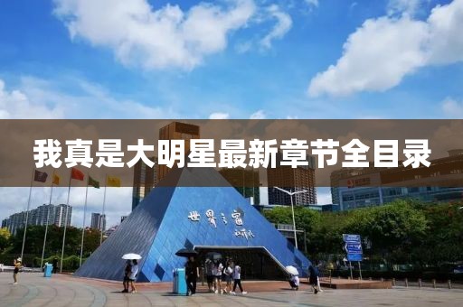 我真是大明星最新章节全目录