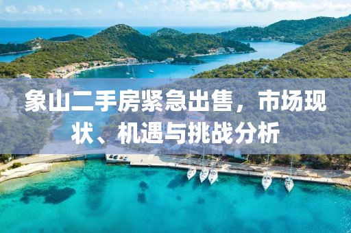 象山二手房紧急出售，市场现状、机遇与挑战分析