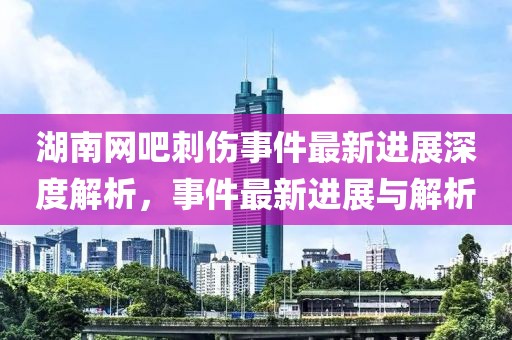 湖南网吧刺伤事件最新进展深度解析，事件最新进展与解析