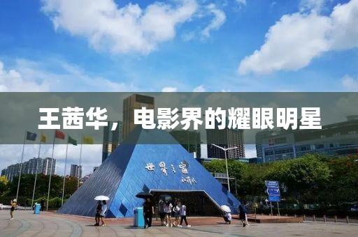 王茜华，电影界的耀眼明星